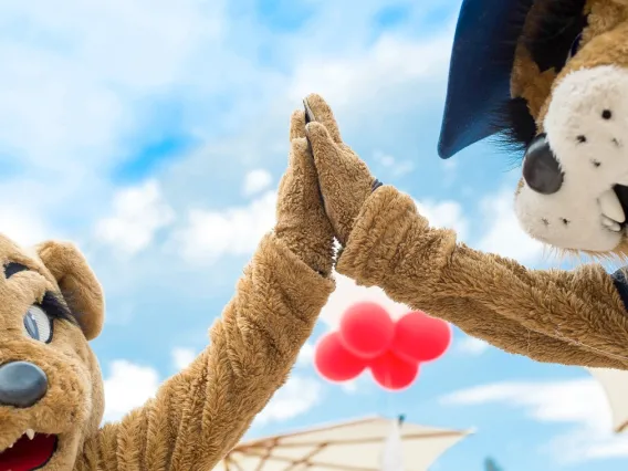 Wilber and Wilma Wildcat giving each other a high-five